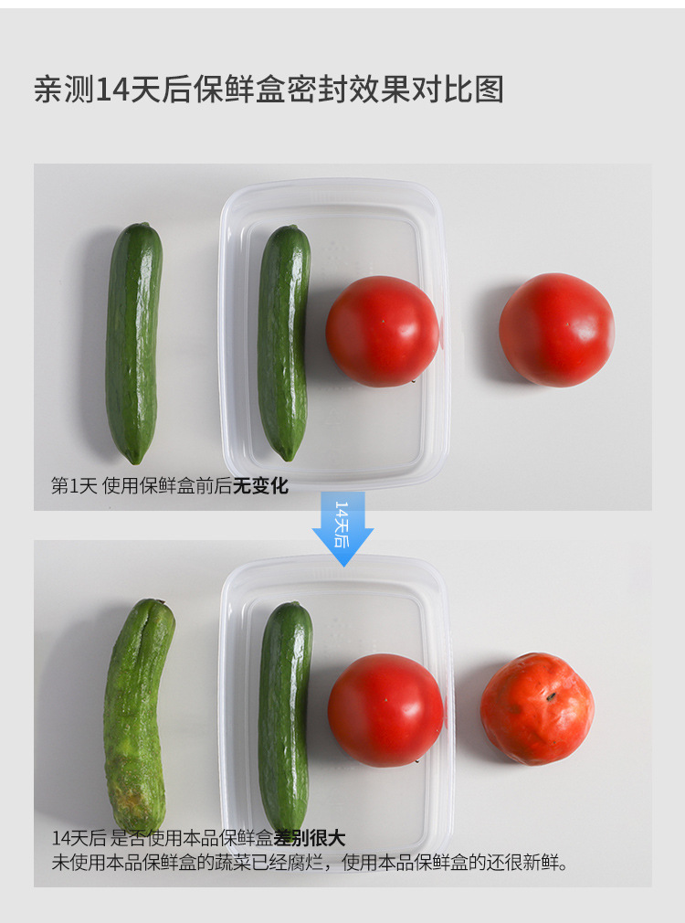 Sanada Japan Imported Refrigerator Fresh Storage Box Food Sealed Box Plastic Fruit and Vegetable Freeze Storage Storage Box Sanada Japan Imported Refrigerator Fresh Storage Box Food Sealed Box Plastic Fruit and Vegetable Freeze Storage Storage Box