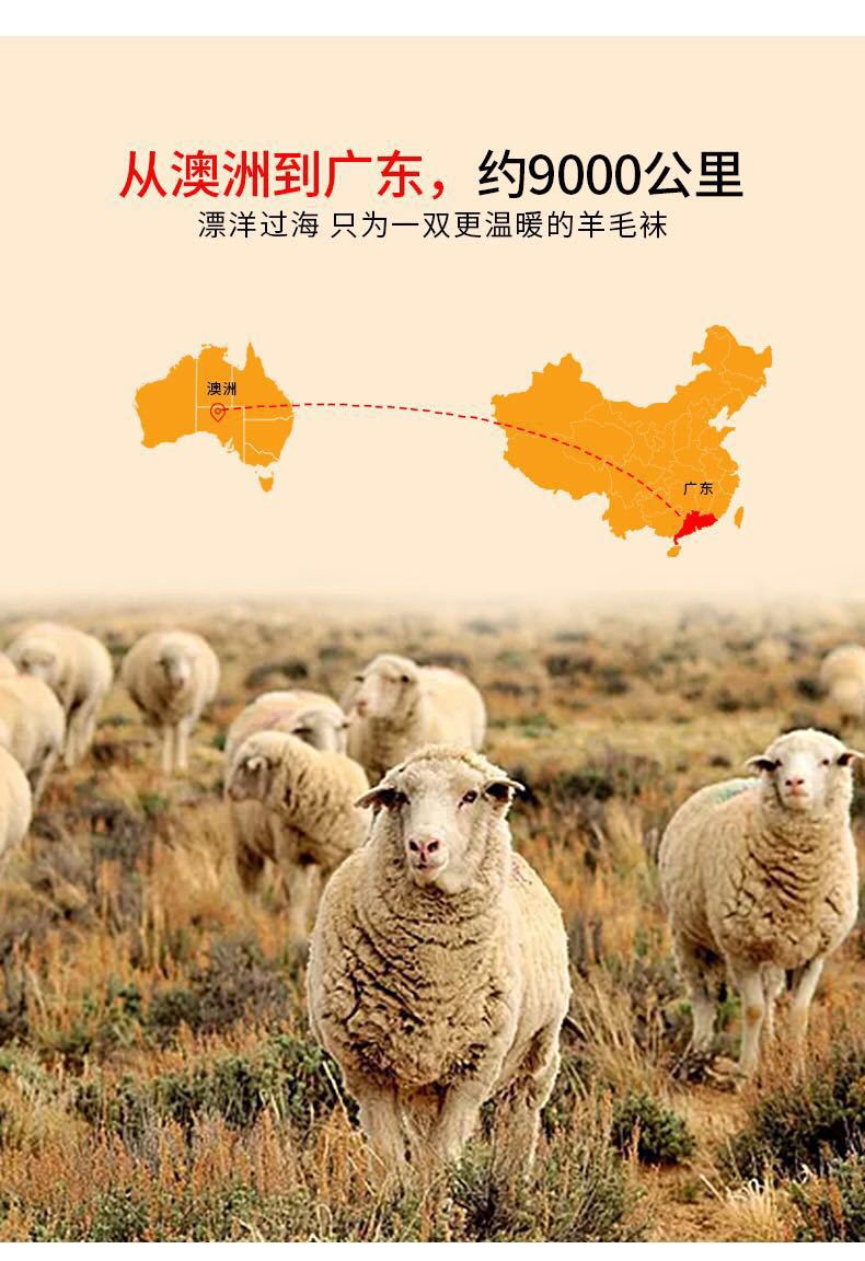 Wool Socks Women's Custom Wool Socks Foreign Trade Men's and Women's Cross-Border Imported Raw Materials Manufacturer Cotton Fashion Brand