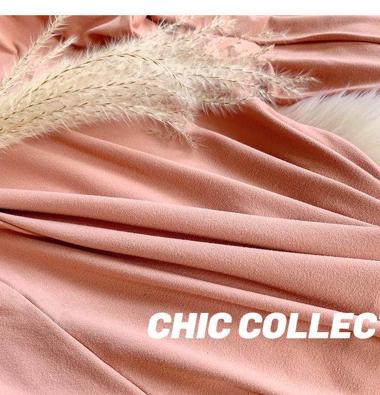 Milk Silk Dralon Double-Sided Brushed Half Turtleneck Bottoming Shirt Women's Autumn and Winter Korean-Style Long-Sleeved T-shirt Inner Mask Autumn Clothes