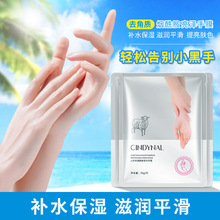 Facial Mask Skin Care Products Aloe Moisturizing Moisturizing Facial Care Delicate Pore Hyaluronic Acid Glutathione Silk Mask