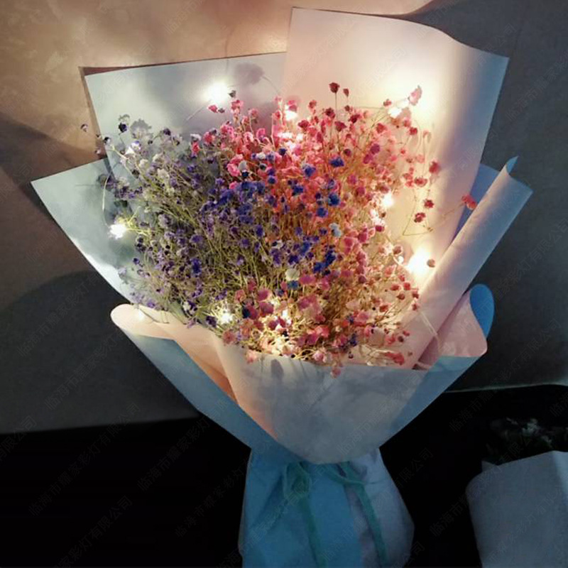 Led Copper Wire Light Room Decorative Lights Small Night Lamp Button Cell GenOptics Aura Essence Solar Courtyard Remote Control String Lights