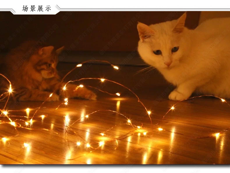 Led Copper Wire Light Room Decorative Lights Small Night Lamp Button Cell GenOptics Aura Essence Solar Courtyard Remote Control String Lights