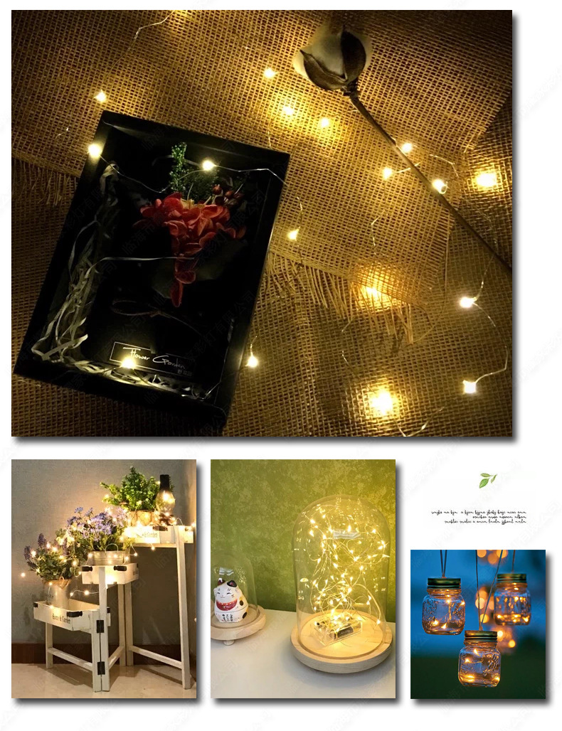 Led Copper Wire Light Room Decorative Lights Small Night Lamp Button Cell GenOptics Aura Essence Solar Courtyard Remote Control String Lights