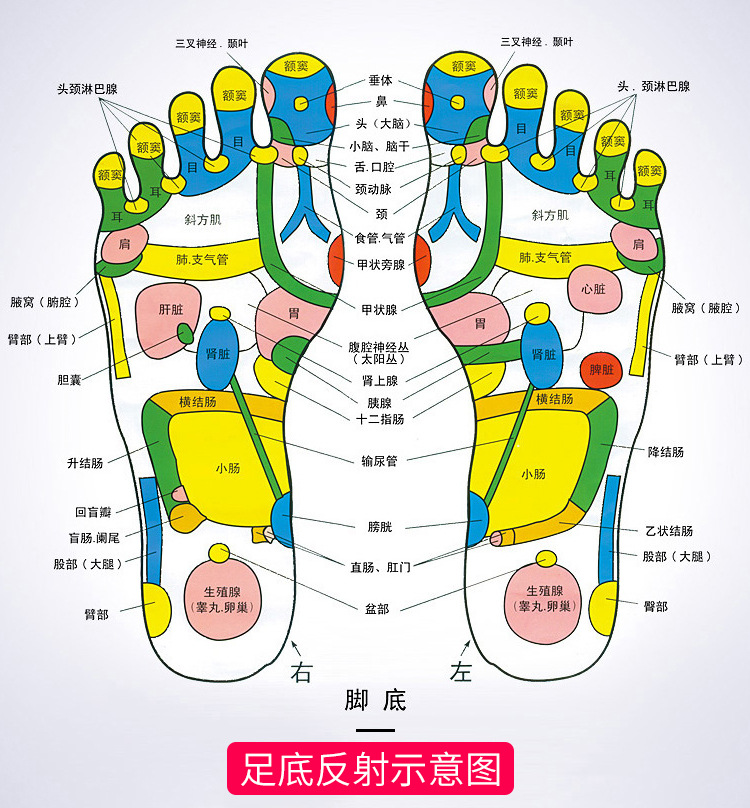 Factory Direct Sales Health Care Foot Bath Barrel Massage Foot Tub Feet-Washing Basin Foot Tub Mechanical Feet Bathing Tub Gift Customization Factory Direct Sales Health Care Foot Bath Barrel Massage Foot Tub Feet-Washing Basin Foot Tub Mechanical Feet Bathing Tub Gift Customization