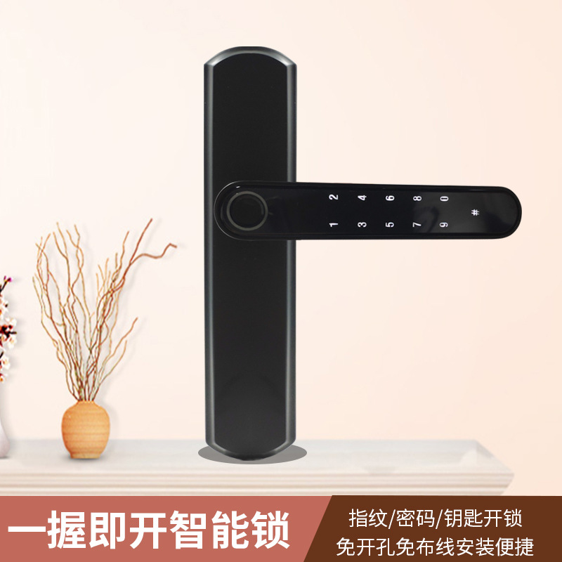 Indoor Smart Lock Fingerprint Lock Household Anti-Theft Door Password Lock Smart Door Lock Electronic Lock Graffiti Pass Lock Manufacturer Indoor Smart Lock Fingerprint Lock Household Anti-Theft Door Password Lock Smart Door Lock Electronic Lock Graffiti Pass Lock Manufacturer