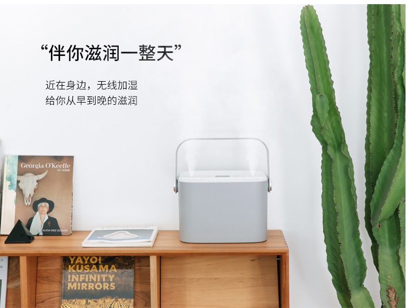 Boshang New 2020 Indoor Double Spray Heavy Fog Digital Display Humidifier Atomizer Plate Removable Factory Direct Sales