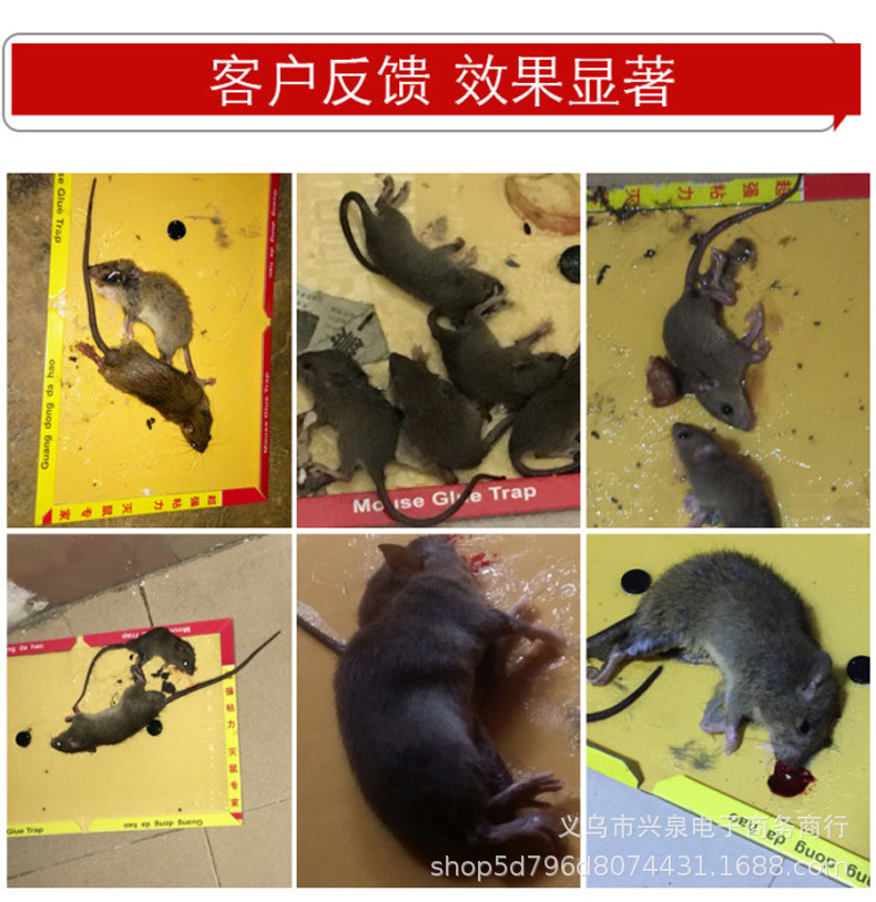 1 Yuan Mouse Sticker Mouse Trap Sticker Strong Sticky Glue Mouse Traps Deratization Board Deratization Glue Deratization Fantastic Rat Extermination Product Household Wholesale