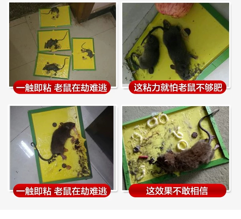 Green Mouse Sticker Super Strong Mouse Trap Sticker Rat Repellent Fantastic Rat Extermination Product Mouse Glue Green Mouse Sticker Super Strong Mouse Trap Sticker Rat Repellent Fantastic Rat Extermination Product Mouse Glue