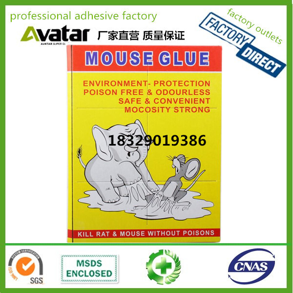   Factory outlet  paper board Mouse trap sticker Pest Control mouse &amp; rat glue trap for sale