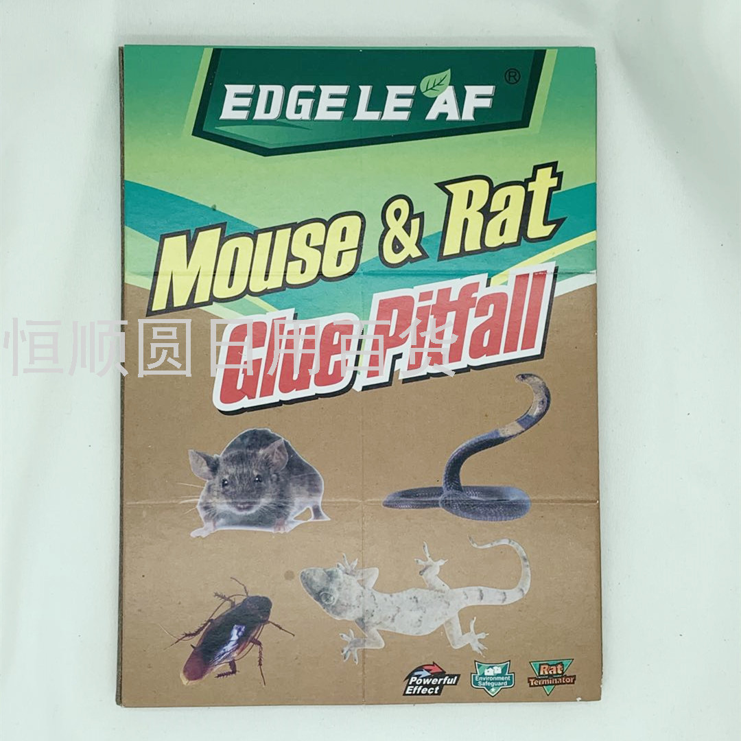Small English Strong Mouse Sticker Foreign Trade Glue Mouse Traps Strong Mouse Trap Sticker Mouse Glue Authentic Product Wholesale