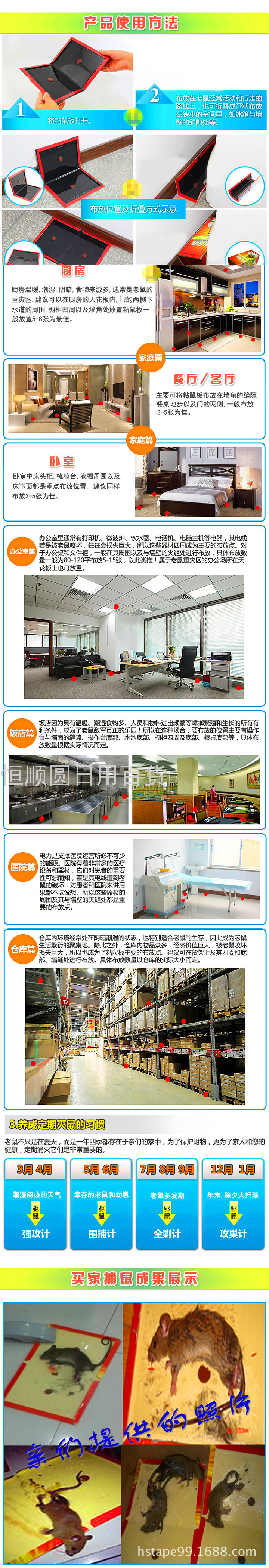 Small English Strong Mouse Sticker Foreign Trade Glue Mouse Traps Strong Mouse Trap Sticker Mouse Glue Authentic Product Wholesale