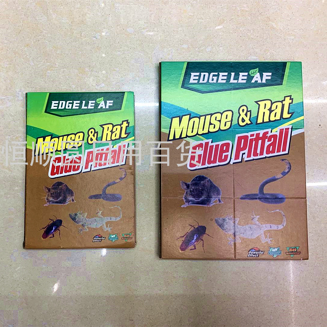 Small English Strong Mouse Sticker Foreign Trade Glue Mouse Traps Strong Mouse Trap Sticker Mouse Glue Authentic Product Wholesale