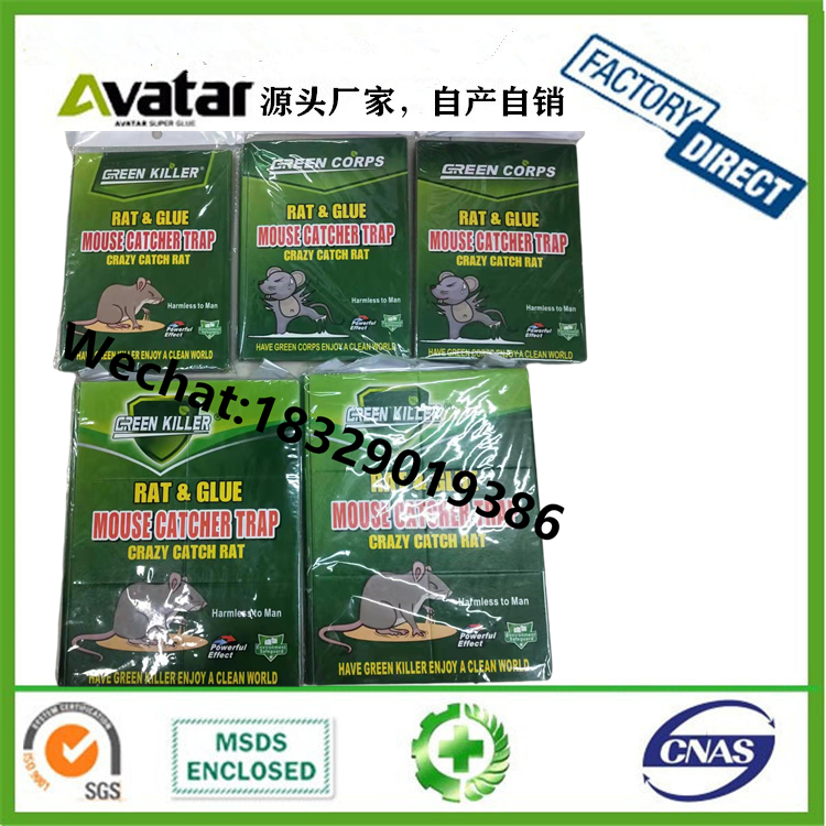 Green Corps Mouse Catcher Trap Green Leaf Strong Glue Mouse Traps Mouse Trap Sticker Mouse Sticker Force