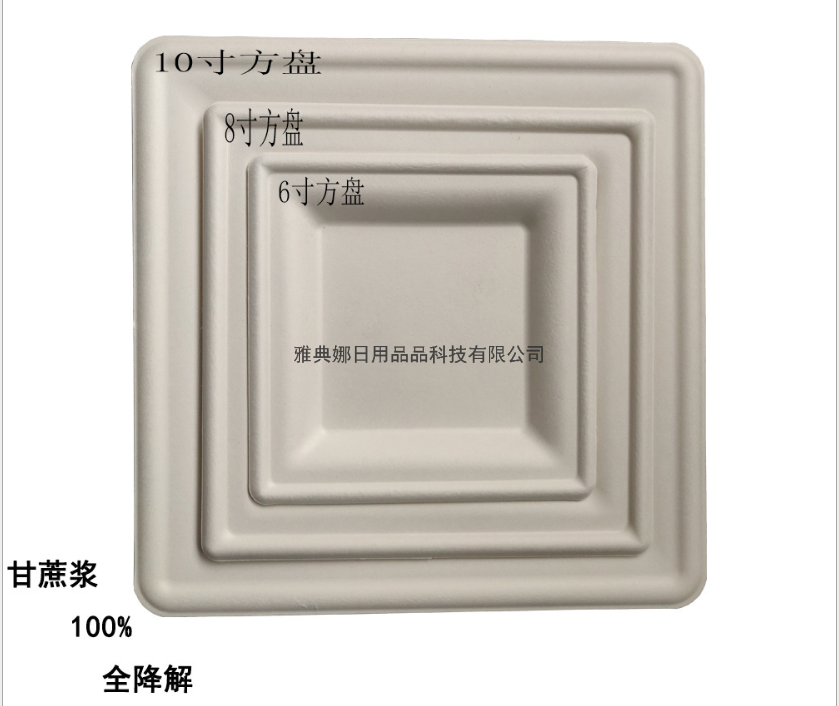8-Inch Sugar Cane Pulp Fluoride-Free 100% Fully Degraded Tableware Disposable Environmentally Friendly Square Plate