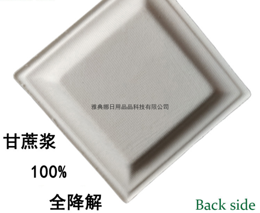 8-Inch Sugar Cane Pulp Fluoride-Free 100% Fully Degraded Tableware Disposable Environmentally Friendly Square Plate