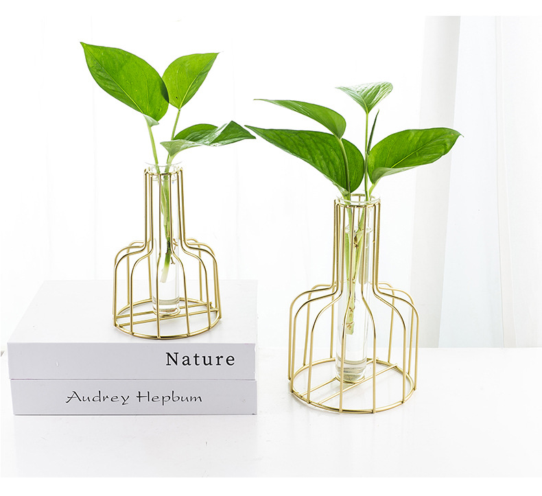 Nordic Style Vase Decoration Living Room Flower Arrangement Creative Hydroponics Plant Rose Green Radish Water Fresh Glass Bottle Nordic Style Vase Decoration Living Room Flower Arrangement Creative Hydroponics Plant Rose Green Radish Water Fresh Glass Bottle