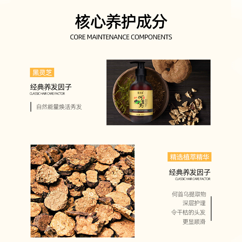 Summer Shiyu Black Ganoderma Lucidum Polygonum Multiflorum Plant Extract Shampoo 300G/Bottle in Stock Wholesale Shampoo Oil Removing Dandruff