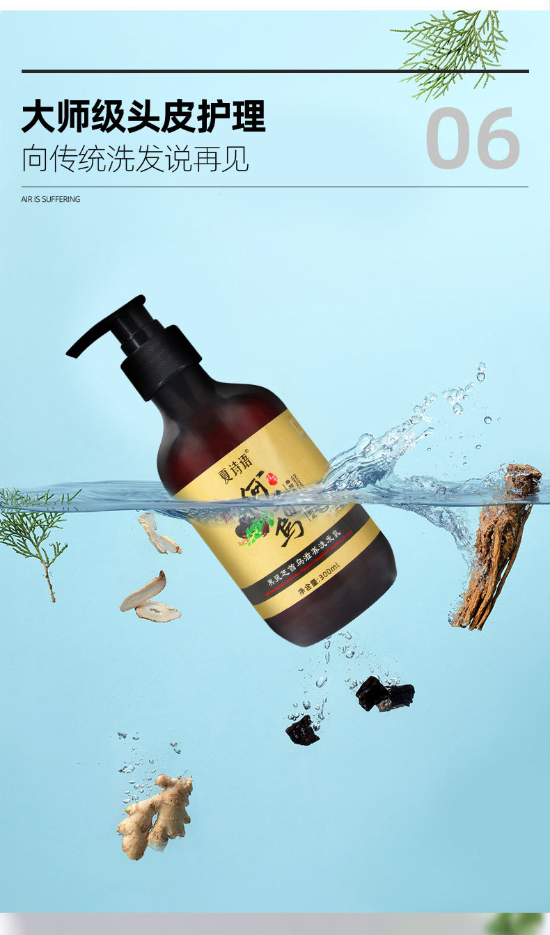 Summer Shiyu Black Ganoderma Lucidum Polygonum Multiflorum Plant Extract Shampoo 300G/Bottle in Stock Wholesale Shampoo Oil Removing Dandruff