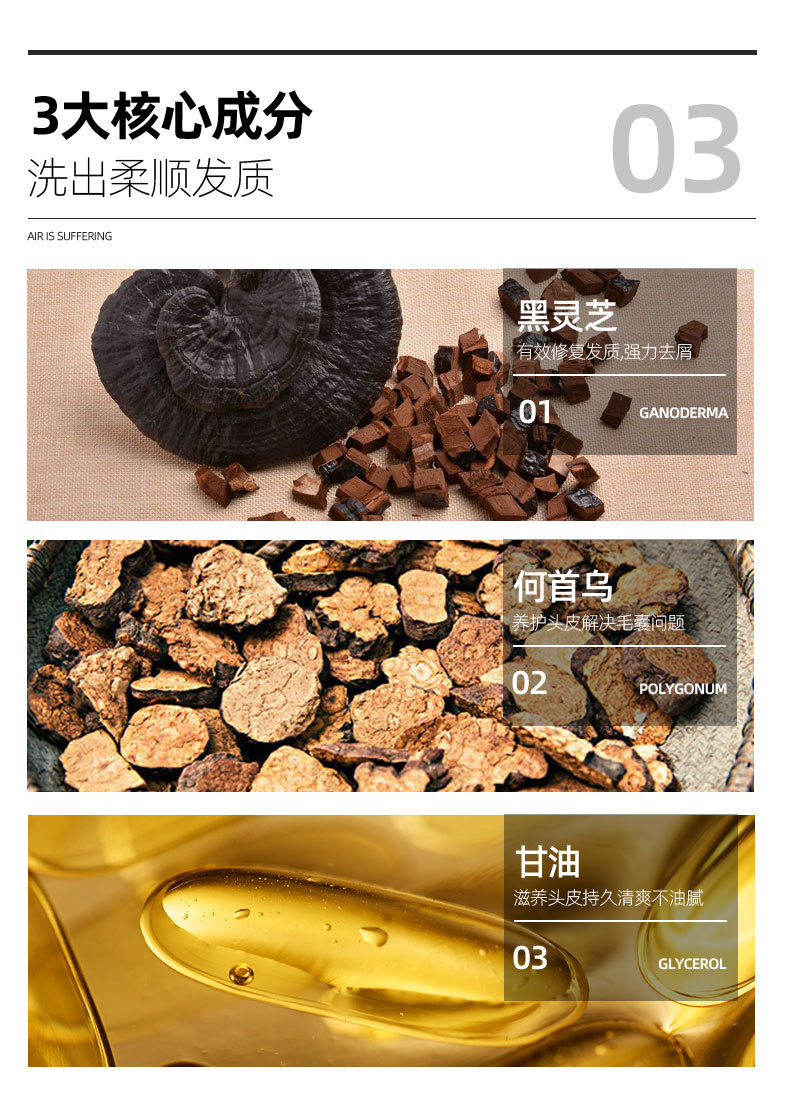 Summer Shiyu Black Ganoderma Lucidum Polygonum Multiflorum Plant Extract Shampoo 300G/Bottle in Stock Wholesale Shampoo Oil Removing Dandruff