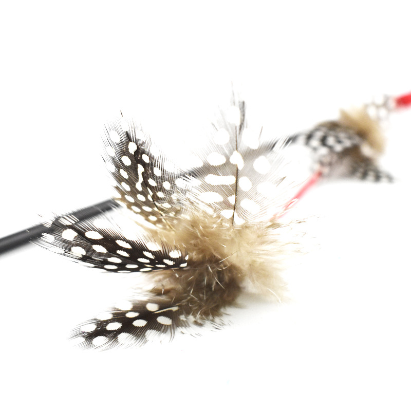 Pet Cat Teaser Fishing Rope Cat Teaser Hang Rope Cat Teaser Cat Toy Pet Cat Teaser Fishing Rope Cat Teaser Hang Rope Cat Teaser Cat Toy