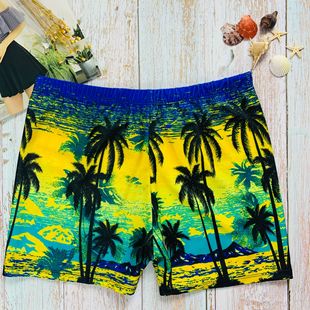 Disposable Swimming Trunks Wholesale Printing Summer Men's Boxer Swimming Trunks Hot Spring Swimsuit Swimming Trunks Factory Direct Sales