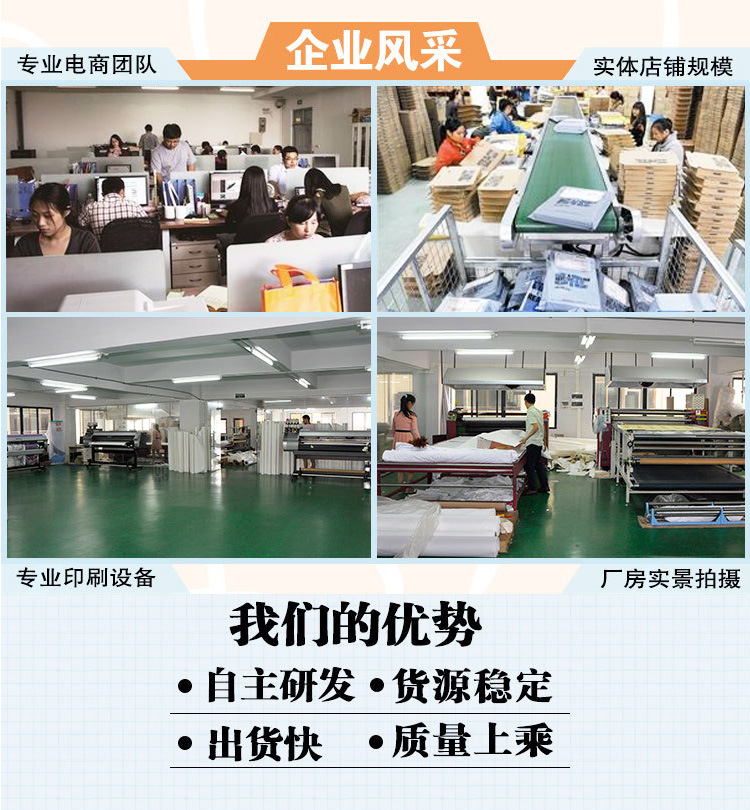 Yiwu Factory Cross-Border Hot Rose DIY Cushion OEM Processing Graphic Customization Home Back Cushion Throw Pillow with Core
