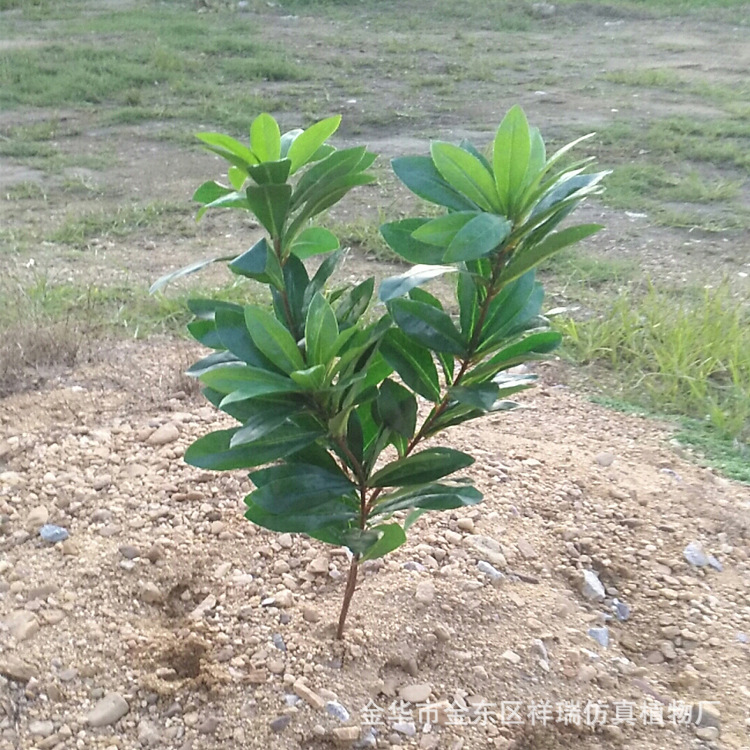 Artificial Plum Leaf Bayberry Leaf Poplar Leaf Green Plant Locust Tree Shrub Bonsai Poplar Flower Tree Ornament Furnishing