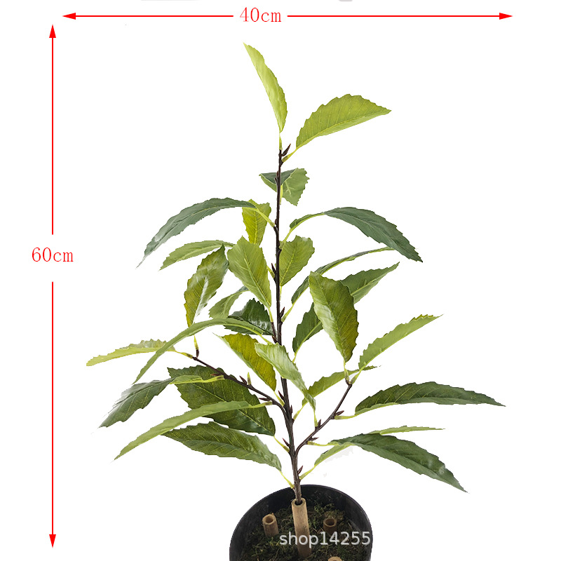 Artificial Plant Oak Tree Fake Tree Leaves Four-Fork Summer Oak Leaf Three-Dimensional Branch Green Bar Leaf Green Landscape Engineering Factory Wholesale