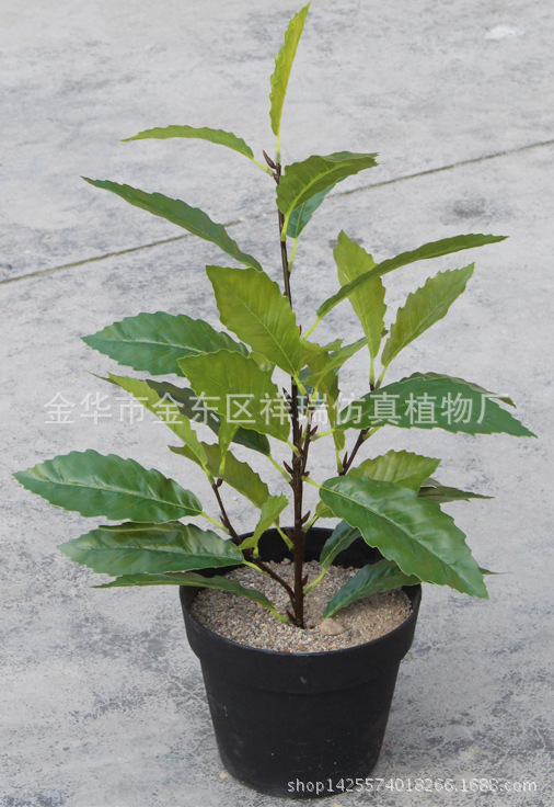 Artificial Plant Oak Tree Fake Tree Leaves Four-Fork Summer Oak Leaf Three-Dimensional Branch Green Bar Leaf Green Landscape Engineering Factory Wholesale Artificial Plant Oak Tree Fake Tree Leaves Four-Fork Summer Oak Leaf Three-Dimensional Branch Green Bar Leaf Green Landscape Engineering Factory Wholesale