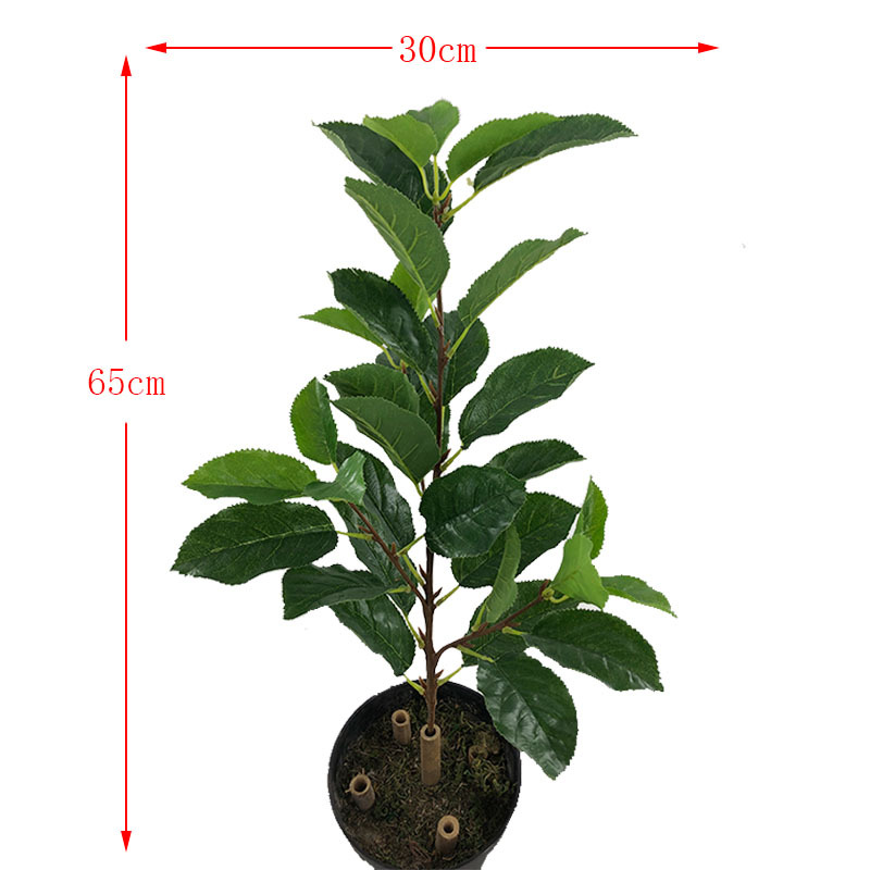 Artificial Plant Fake Pear Tree Fruit Tree Bonsai Pear Leaf Museum Background Shooting Engineering Decoration Wholesale
