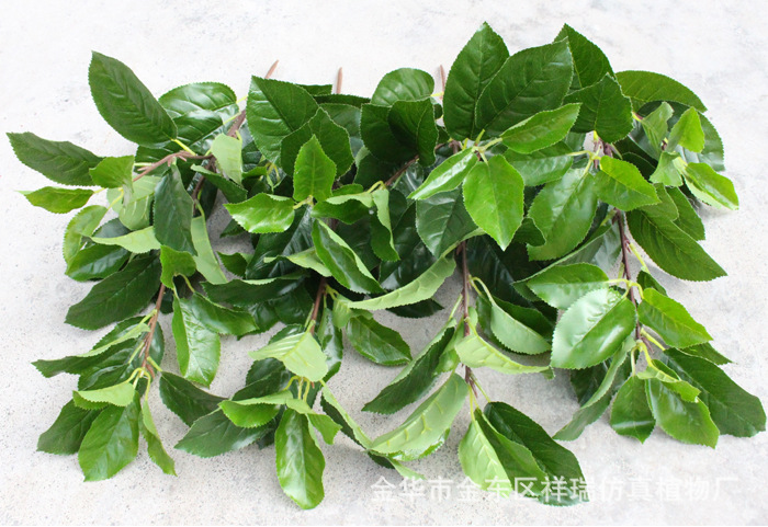 Artificial Plant Fake Pear Tree Fruit Tree Bonsai Pear Leaf Museum Background Shooting Engineering Decoration Wholesale Artificial Plant Fake Pear Tree Fruit Tree Bonsai Pear Leaf Museum Background Shooting Engineering Decoration Wholesale