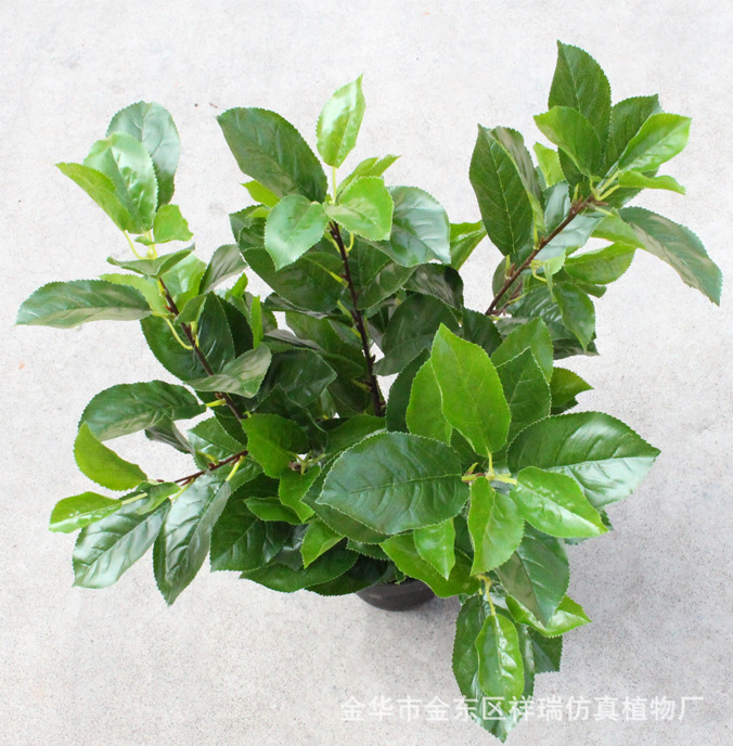 Artificial Plant Fake Pear Tree Fruit Tree Bonsai Pear Leaf Museum Background Shooting Engineering Decoration Wholesale Artificial Plant Fake Pear Tree Fruit Tree Bonsai Pear Leaf Museum Background Shooting Engineering Decoration Wholesale