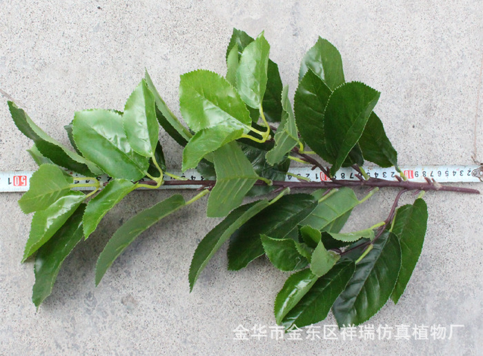 Artificial Plant Fake Pear Tree Fruit Tree Bonsai Pear Leaf Museum Background Shooting Engineering Decoration Wholesale Artificial Plant Fake Pear Tree Fruit Tree Bonsai Pear Leaf Museum Background Shooting Engineering Decoration Wholesale