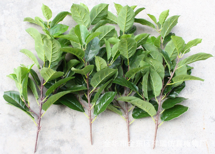 Artificial Plant Fake Pear Tree Fruit Tree Bonsai Pear Leaf Museum Background Shooting Engineering Decoration Wholesale Artificial Plant Fake Pear Tree Fruit Tree Bonsai Pear Leaf Museum Background Shooting Engineering Decoration Wholesale
