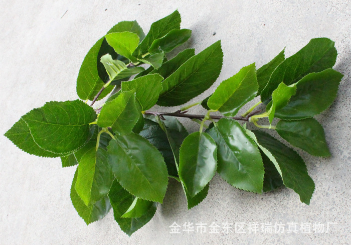 Artificial Plant Fake Pear Tree Fruit Tree Bonsai Pear Leaf Museum Background Shooting Engineering Decoration Wholesale Artificial Plant Fake Pear Tree Fruit Tree Bonsai Pear Leaf Museum Background Shooting Engineering Decoration Wholesale