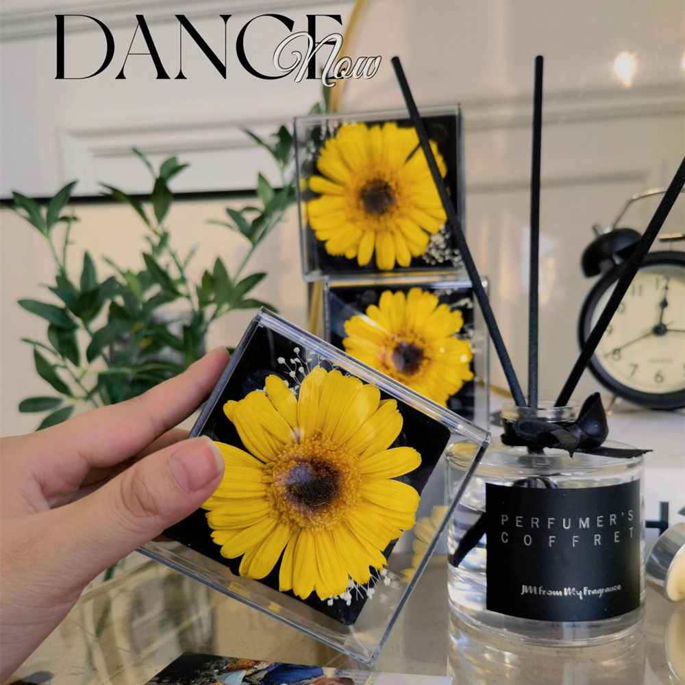 Flower FireFree Aromatherapy African Chrysanthemum Champagne Flower Freesia New Home Indoor Teacher&#039;s Day Flower Gift