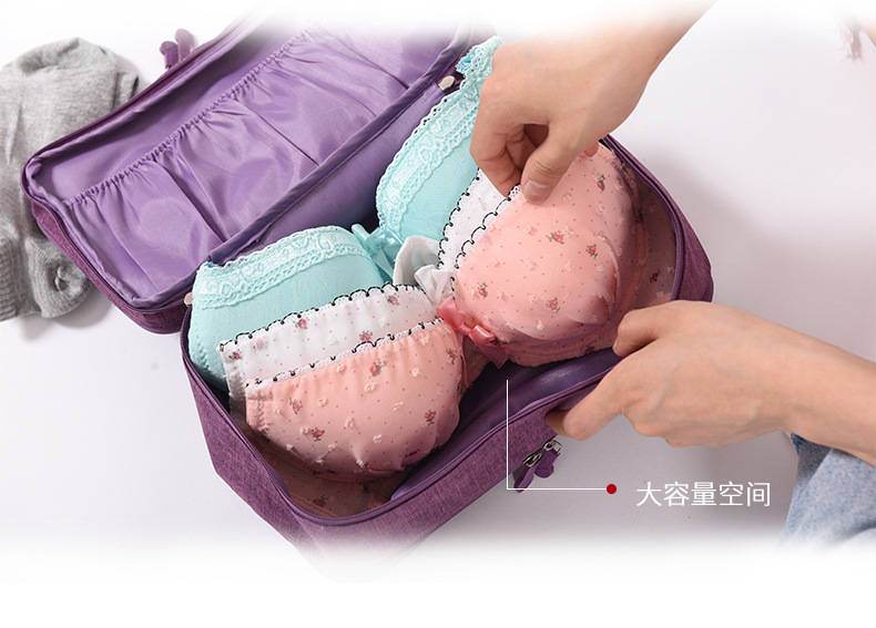 Travel Waterproof Buggy Bag Cationic Bra Bag Underwear Underwear Storage Bag Organizing Folders Bra Storage Bag