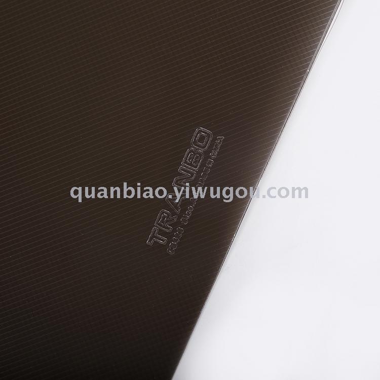 TRANBO PP file folder A4 FC size report folder with elastic plastic clip folder OEM