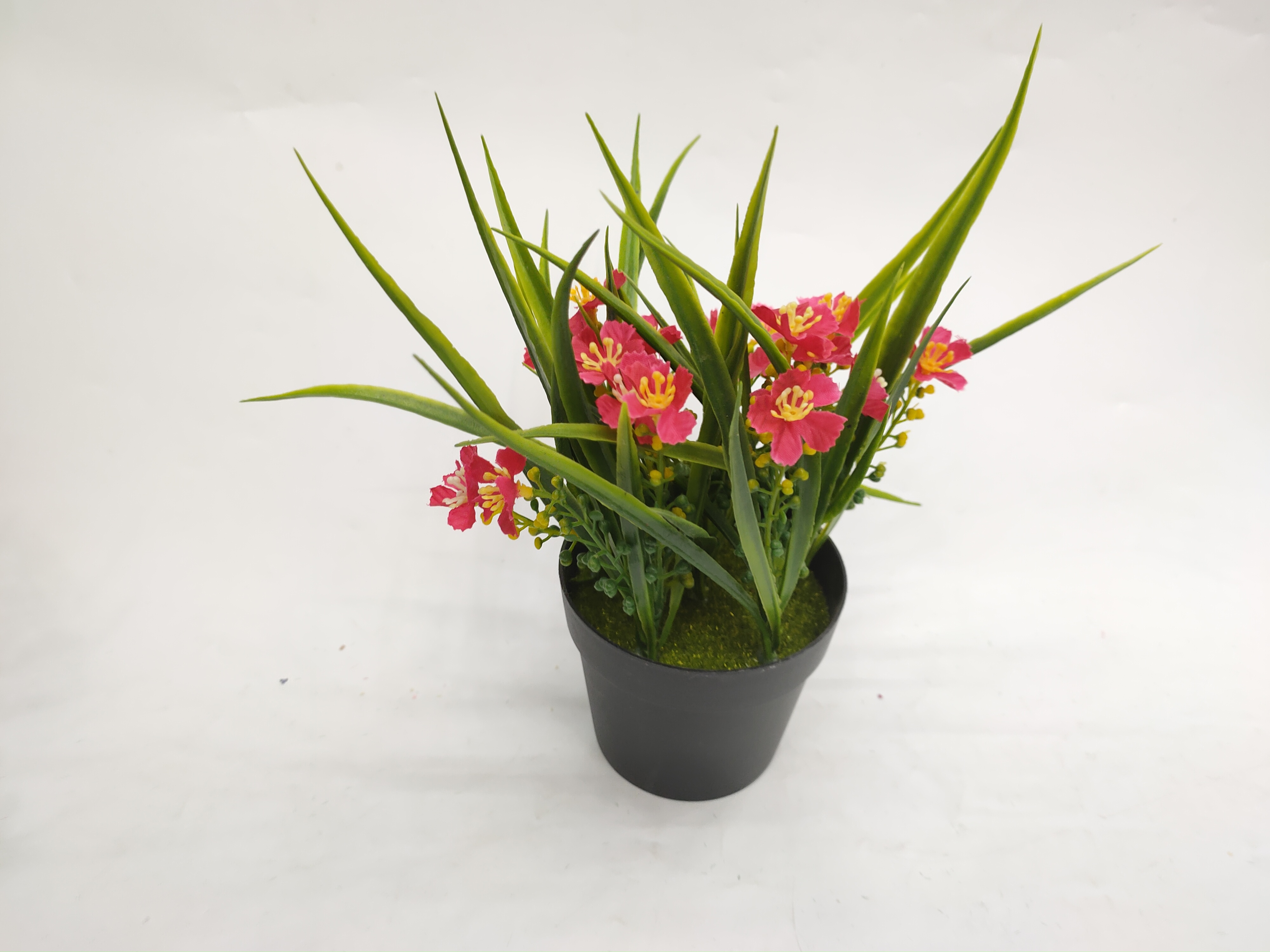 Artificial/Fake Flower Black Plastic Basin Small Flower Greenery Bonsai Decoration Living Room Dining Table and So on Artificial/Fake Flower Black Plastic Basin Small Flower Greenery Bonsai Decoration Living Room Dining Table and So on