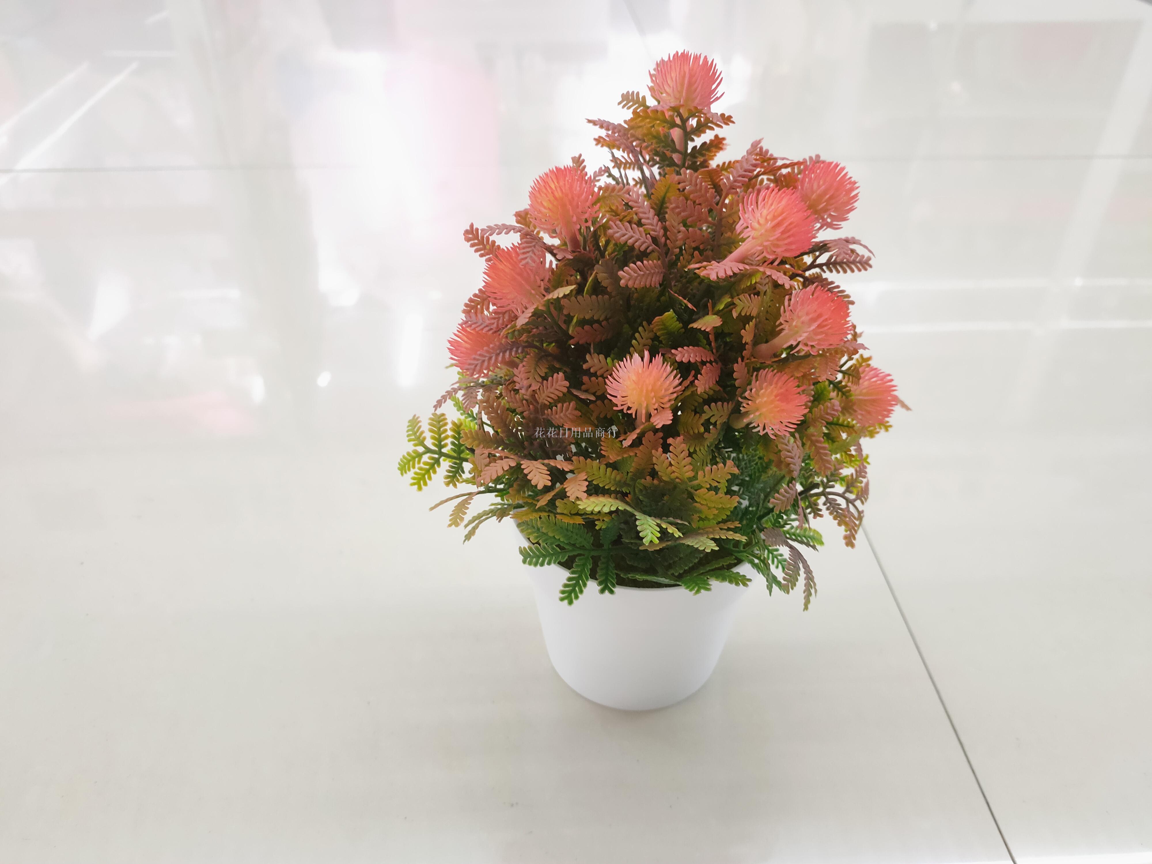 Artificial flower white plastic basin color pointed fruit green plant decoration living room bedroom table and so on