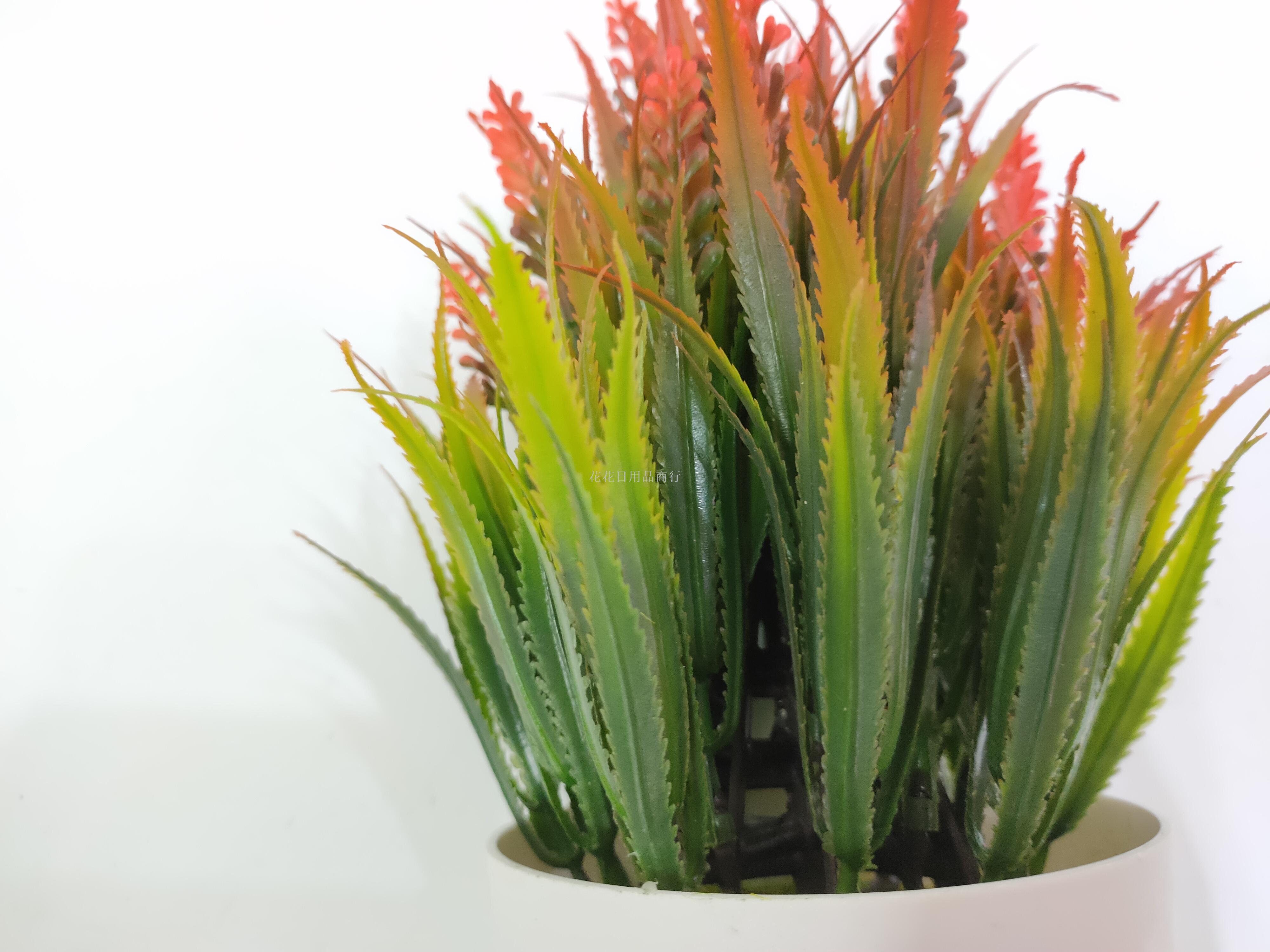 Artificial flower fake flower white plastic basin lavender green plant bonsai decorative living room bedroom decorations