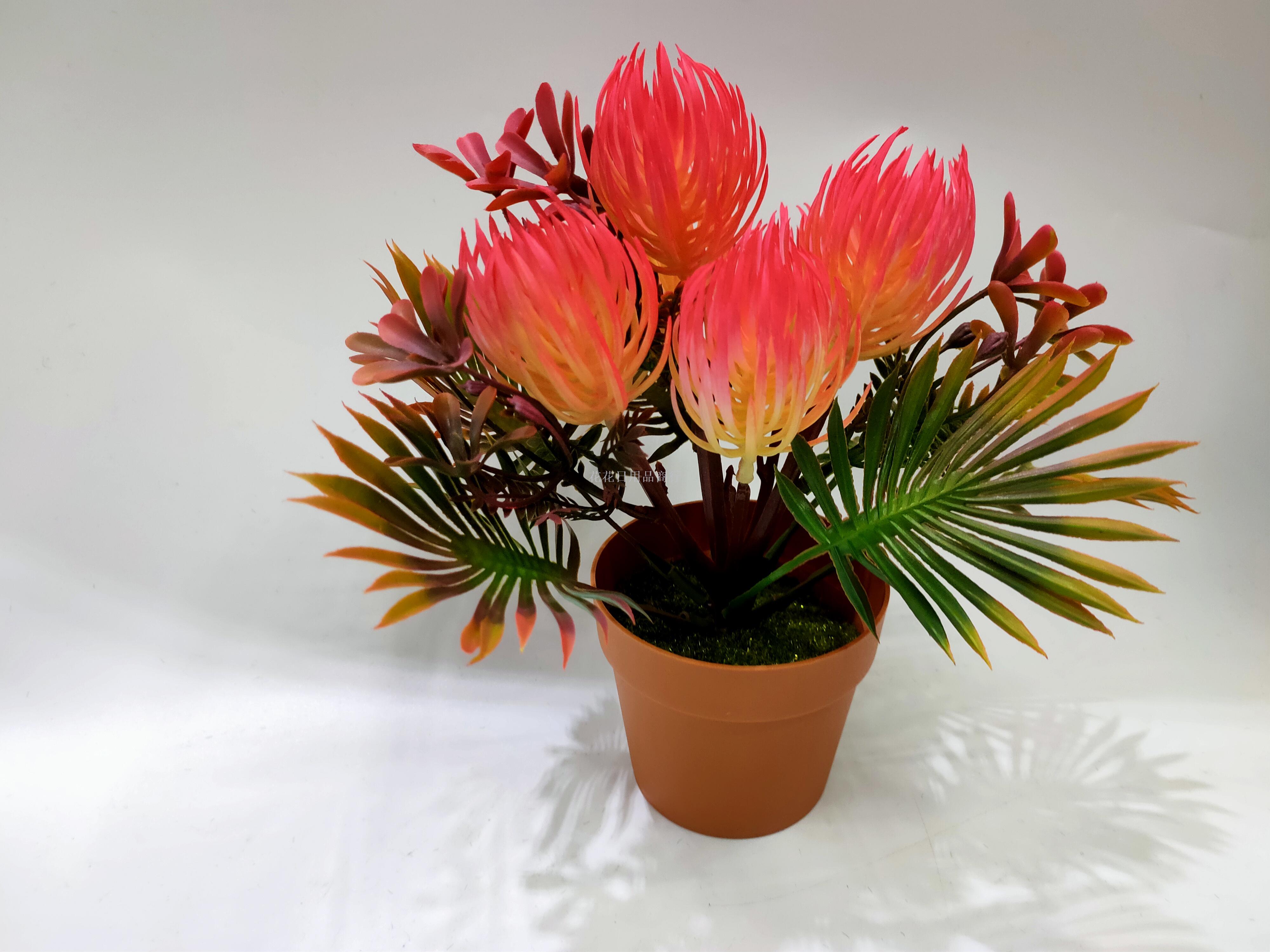 Artificial flower false flower coffee color plastic basin gentian flower bonsai decorative living room bedroom table