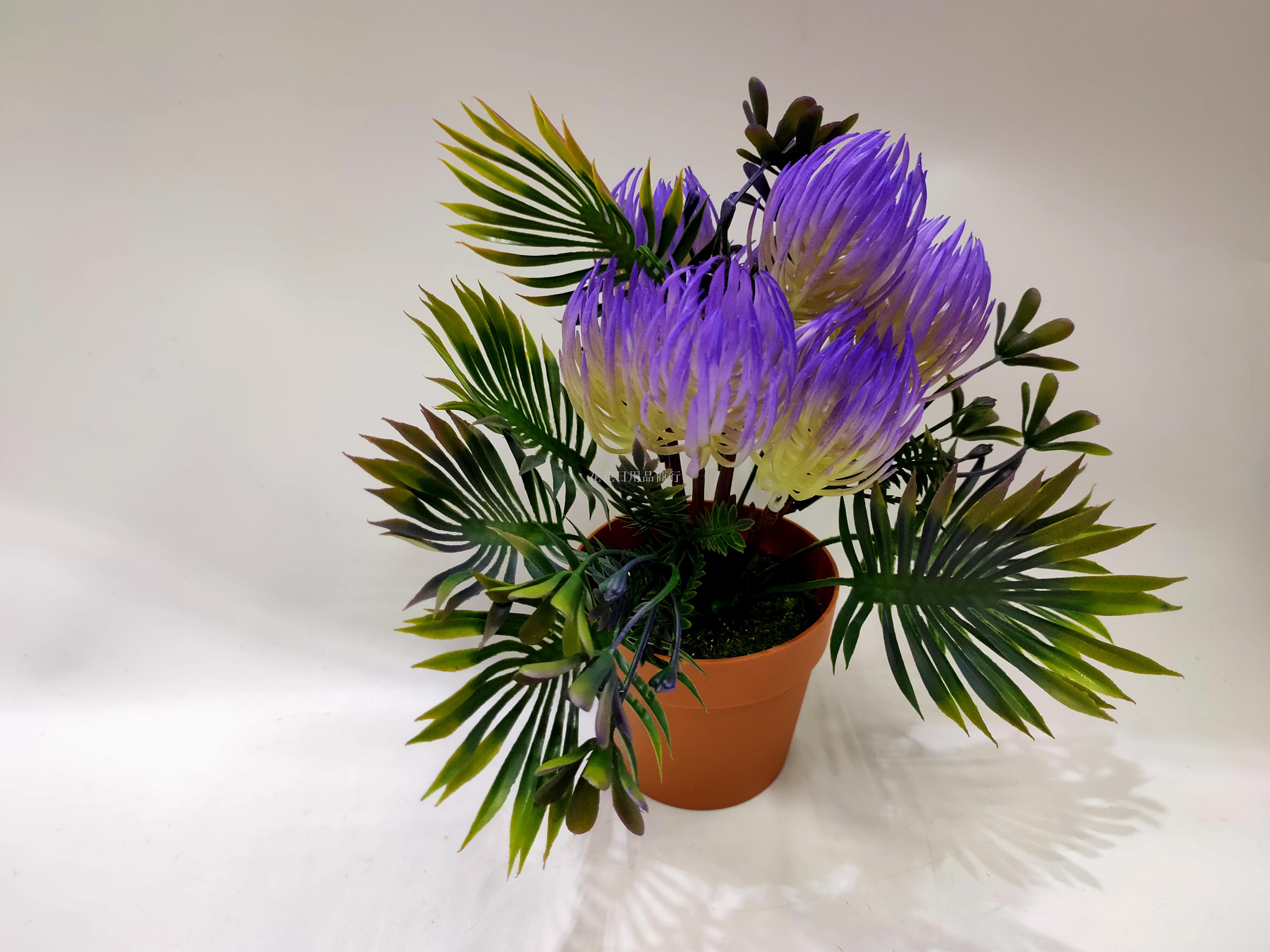 Artificial flower false flower coffee color plastic basin gentian flower bonsai decorative living room bedroom table