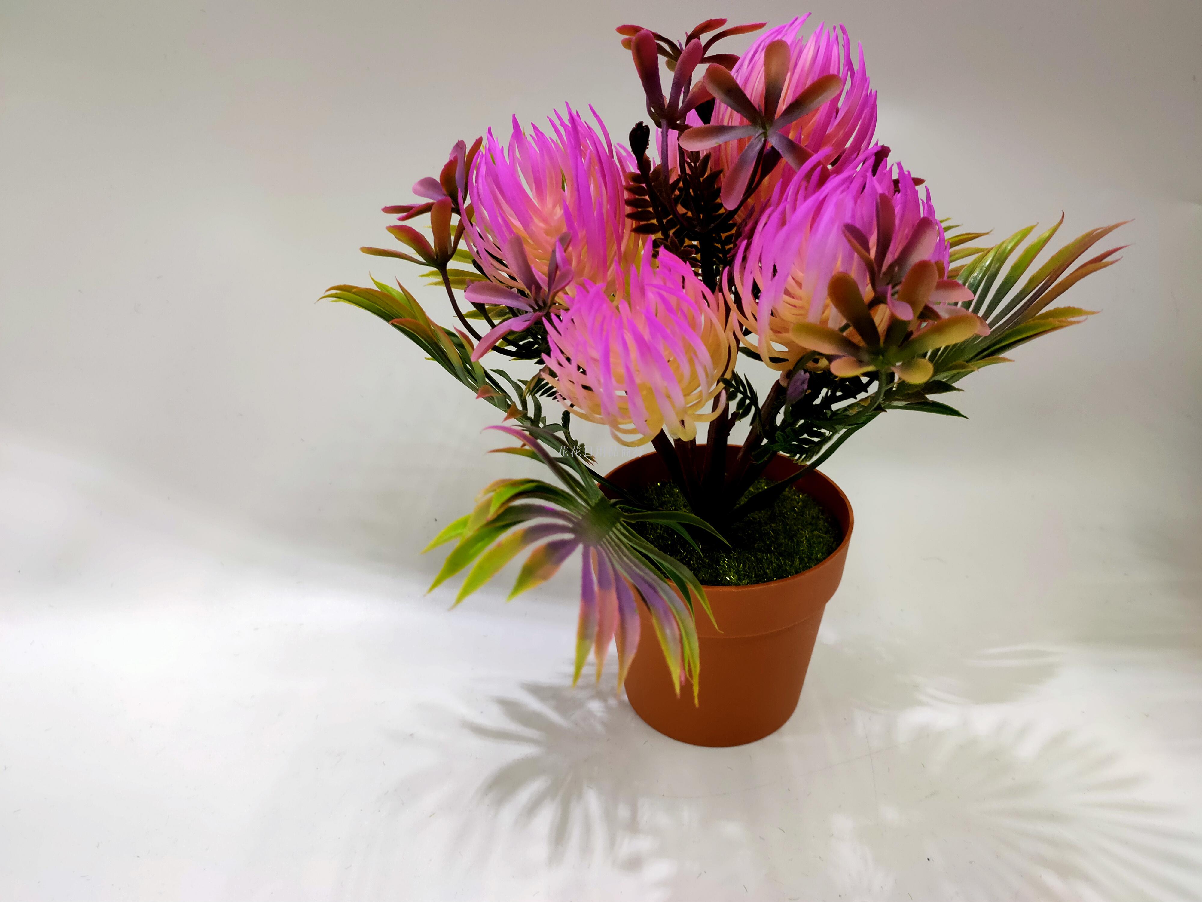 Artificial flower false flower coffee color plastic basin gentian flower bonsai decorative living room bedroom table