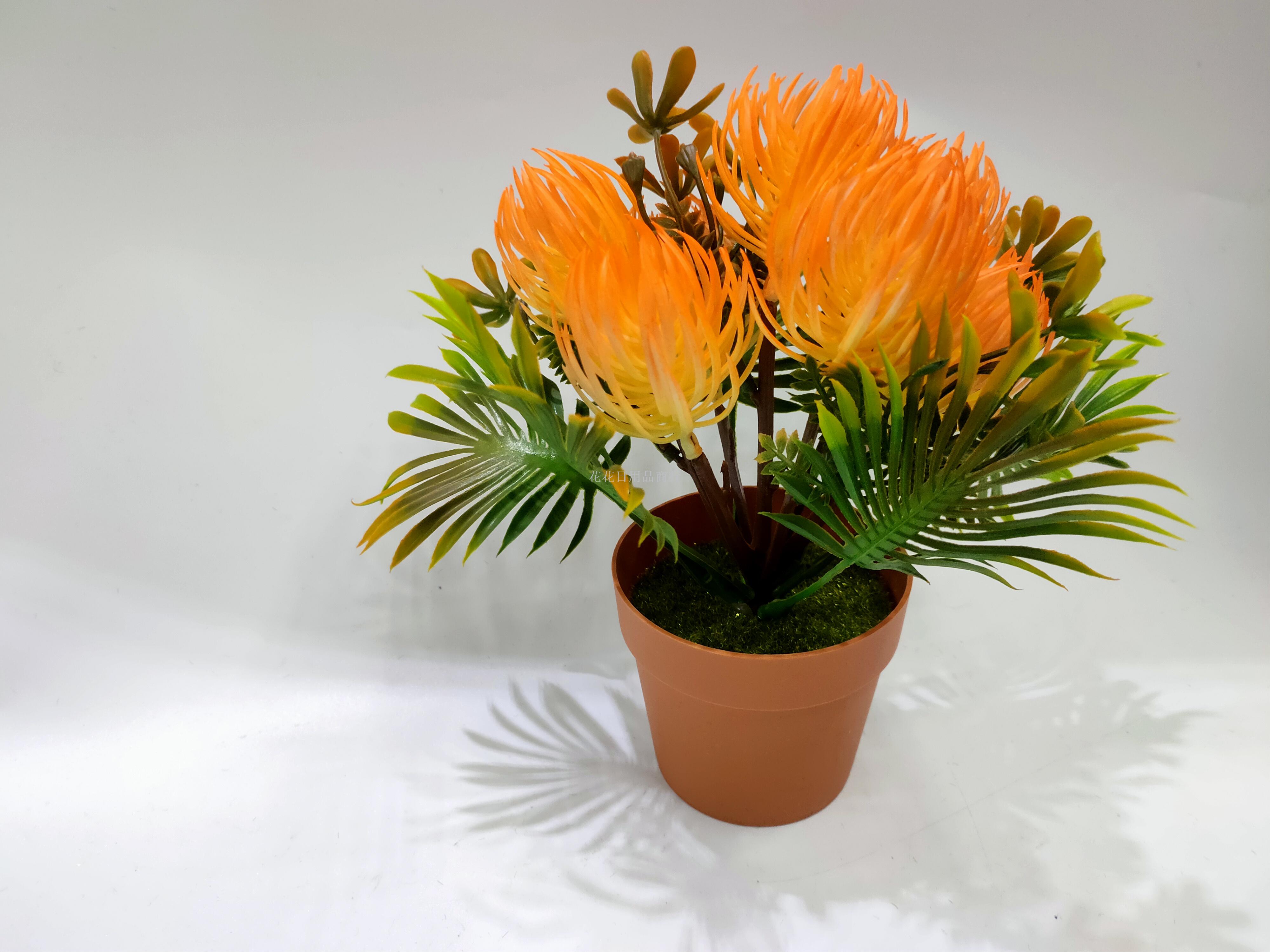 Artificial flower false flower coffee color plastic basin gentian flower bonsai decorative living room bedroom table Artificial flower false flower coffee color plastic basin gentian flower bonsai decorative living room bedroom table