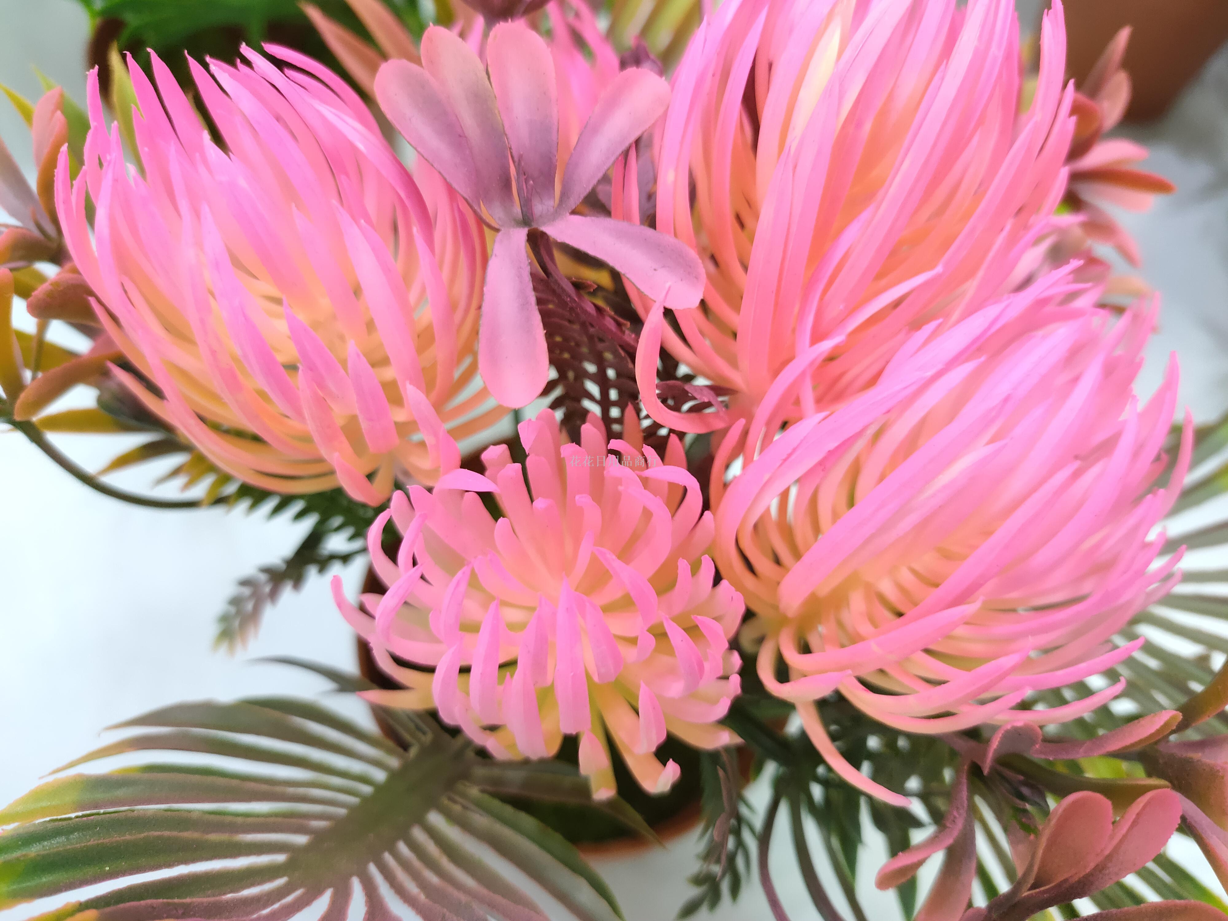 Artificial flower false flower coffee color plastic basin gentian flower bonsai decorative living room bedroom table Artificial flower false flower coffee color plastic basin gentian flower bonsai decorative living room bedroom table