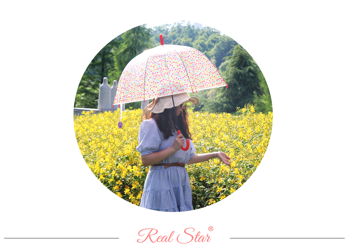 RST022 dot umbrella long handle transparent umbrella straight handle umbrella wholesale