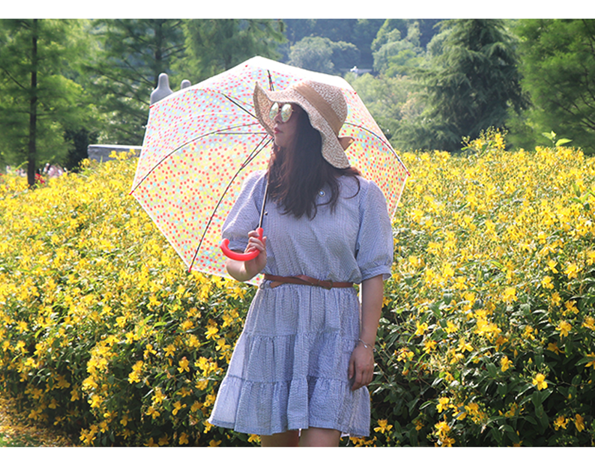 RST022 dot umbrella long handle transparent umbrella straight handle umbrella wholesale