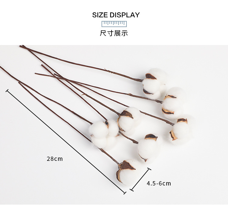Tang De Christmas Gift Christmas Bouquet Cotton Dried Flower Home Decoration Photo Props Atmosphere Decoration 10 Pieces