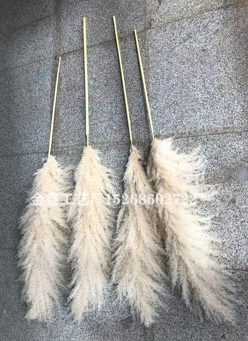 1PC Bulrush Natural Dried Flowers Artificial Plants Branch Pampas Grass Phragmites Fake Flower Wedding Vase Home Decor 1PC Bulrush Natural Dried Flowers Artificial Plants Branch Pampas Grass Phragmites Fake Flower Wedding Vase Home Decor